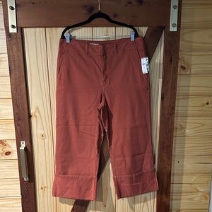 Pilcro by Anthropology Terracotta Ankle Pants